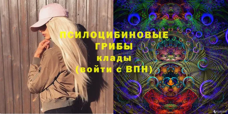 Псилоцибиновые грибы Magic Shrooms  Кадников 